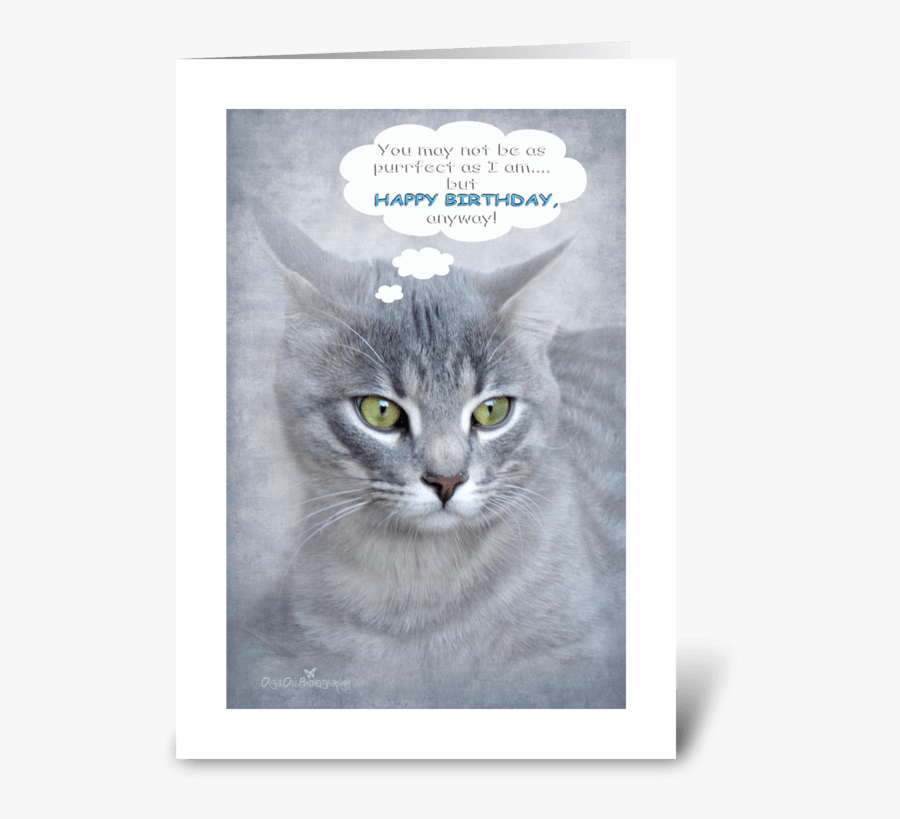 Clip Art Cat Happy Birthday - Happy Birthday For Cat Lovers, Transparent Clipart