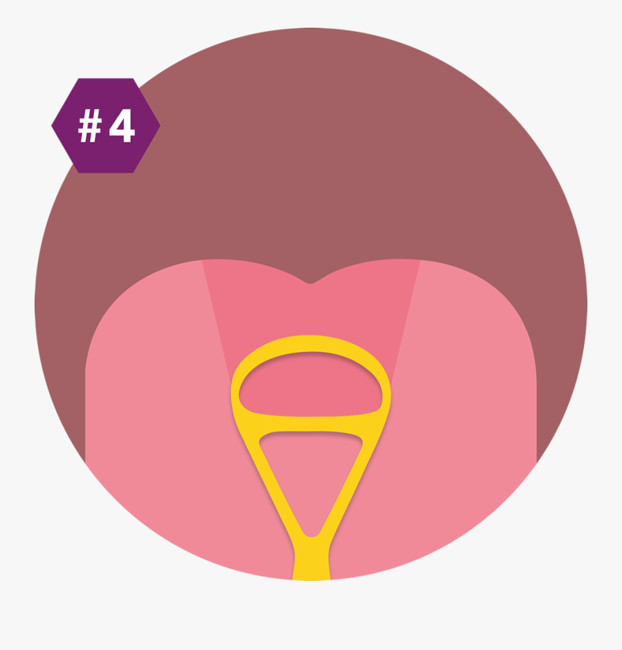 Causeway Dental Cosmetic Dentist, Transparent Clipart