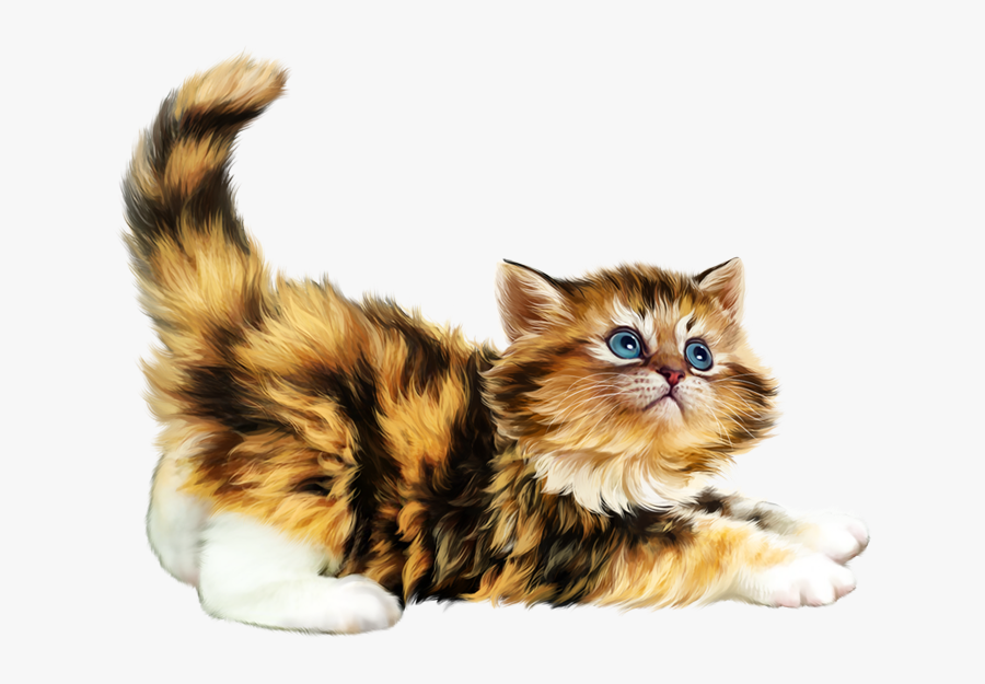 Kitten, Transparent Clipart