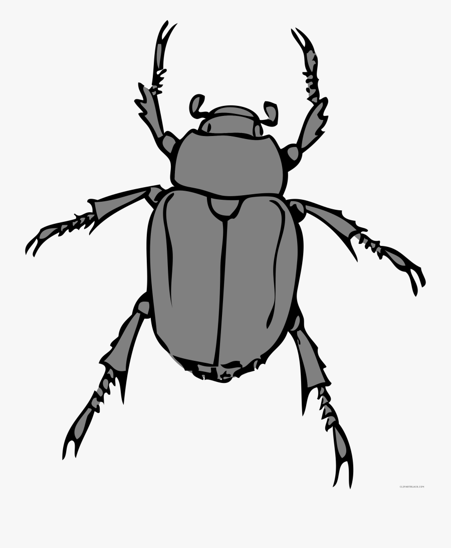 Amazing Bug Animal Free Black White Clipart Images - Insect Clipart, Transparent Clipart