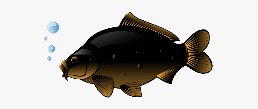 Swordfish Freshwater Fish Clip Art - Fish, Transparent Clipart