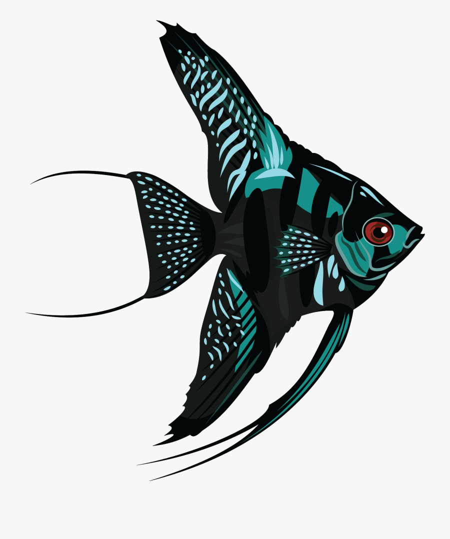 Fish Png Download - Freshwater Angel Fish Png, Transparent Clipart