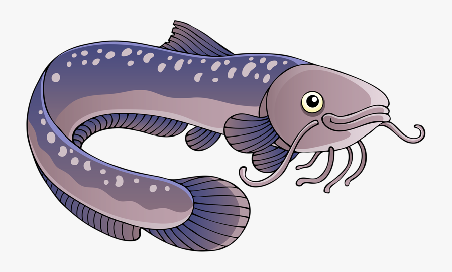 Transparent Flounder Clipart - Electric Eel Clipart, Transparent Clipart