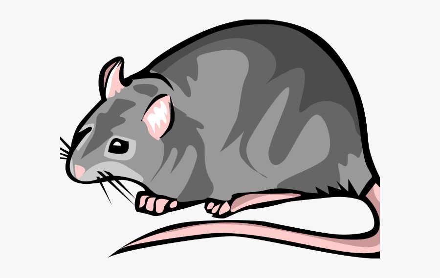 The Great Plague Of - Transparent Rat Clip Art, Transparent Clipart