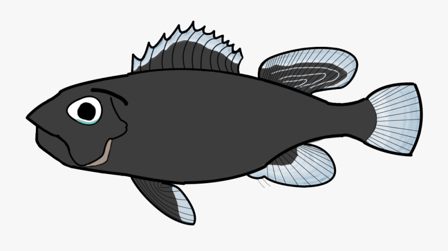 Transparent Sad Fish Png - California Flounder, Transparent Clipart