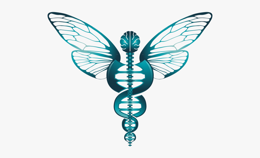 View Media - Illustration, Transparent Clipart