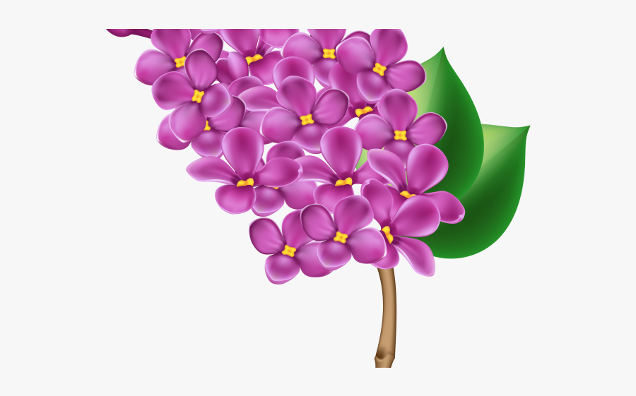 Portable Network Graphics, Transparent Clipart