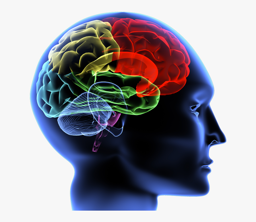 Mental Health - Brain Effect, Transparent Clipart