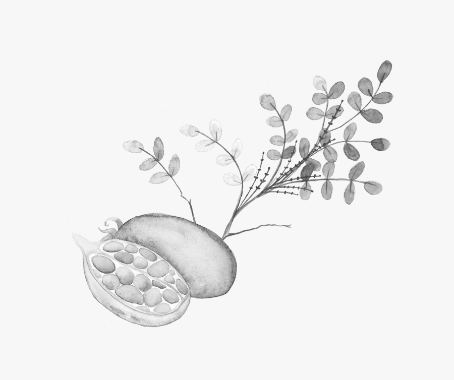 Illustration, Transparent Clipart