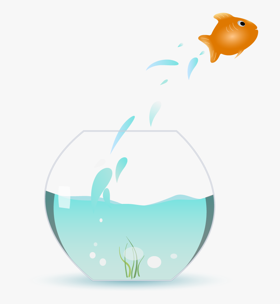 Fish Jumping Out Of Bowl, Transparent Clipart