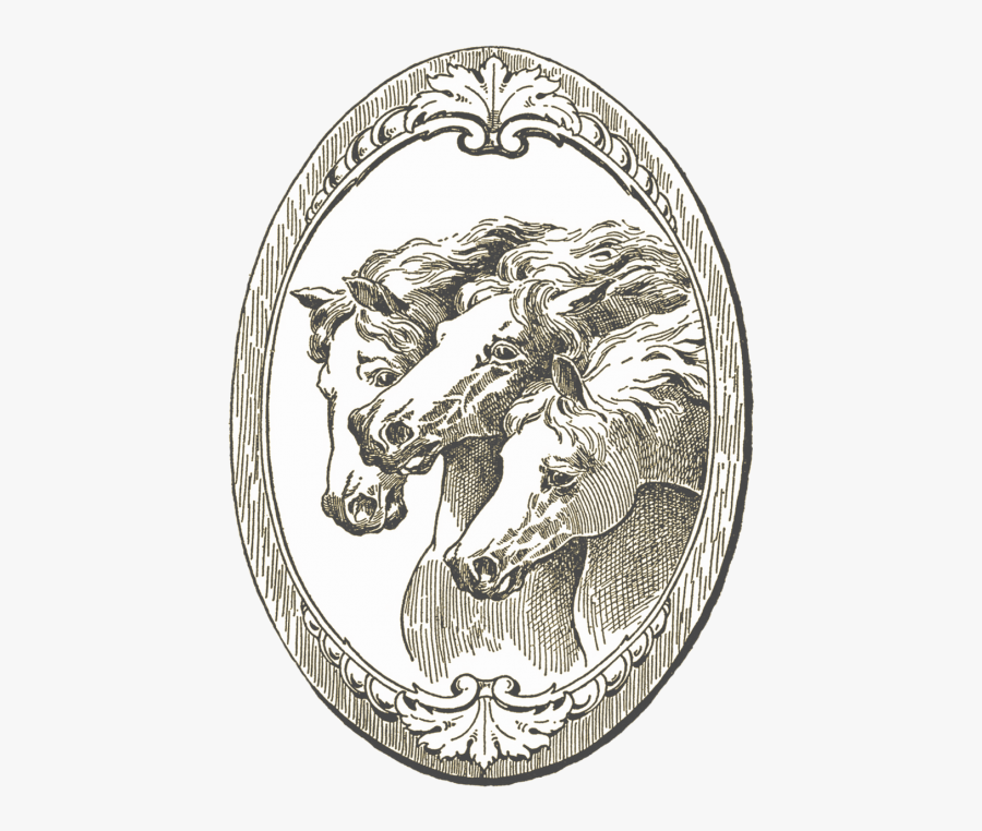 Horses Drawing Old - Vintage Horse Illustration, Transparent Clipart