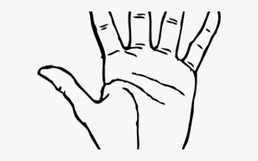 Fingers Clipart Back Hand - Hand Clip Art, Transparent Clipart