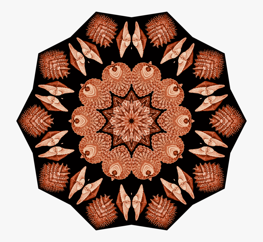 Motif, Transparent Clipart