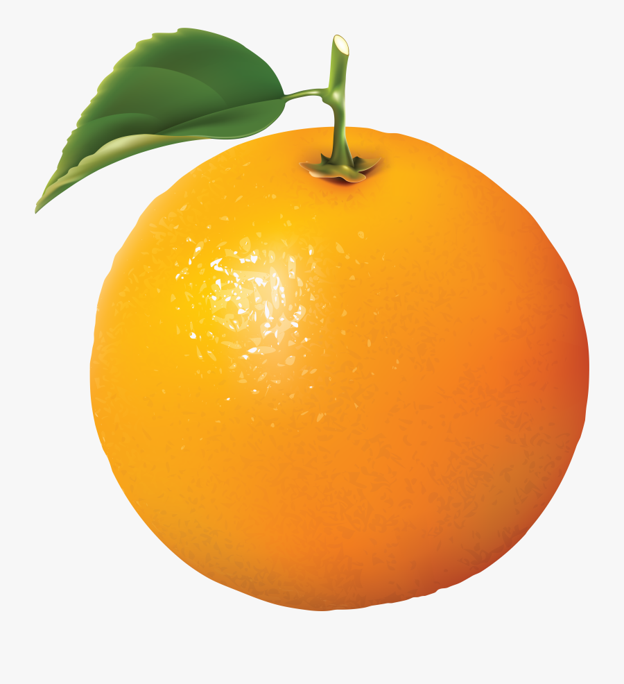 Orange Png Image Purepng Free Transparent Cc Ⓒ - Orange Fruit, Transparent Clipart