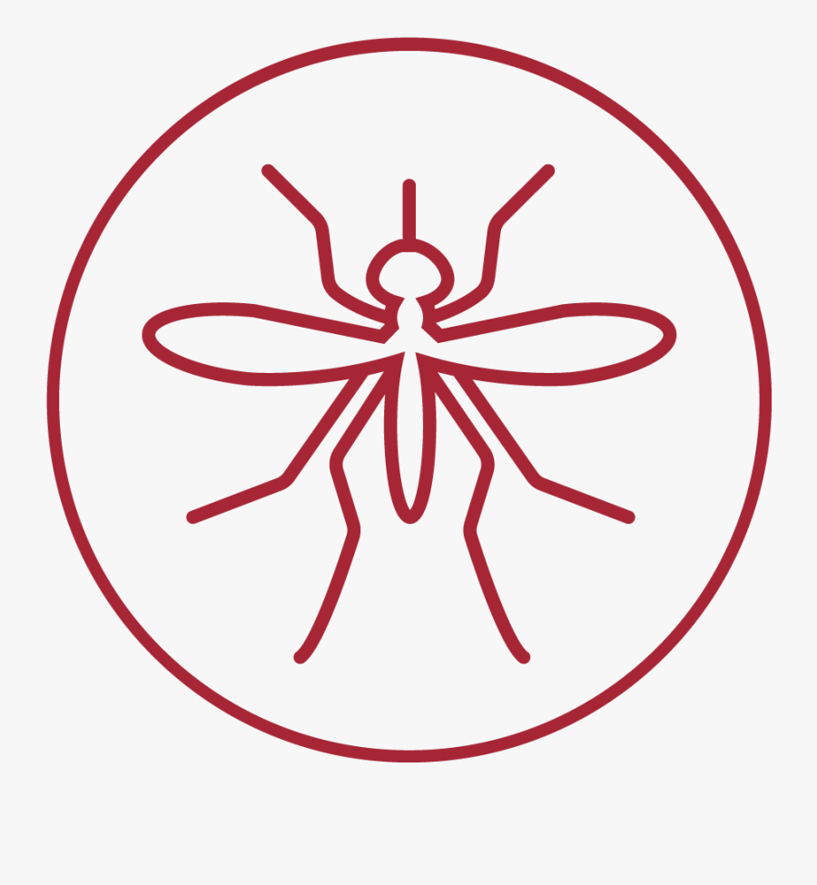 Mosquito Bug Clipart , Png Download - Zika Virus Transparent Background, Transparent Clipart