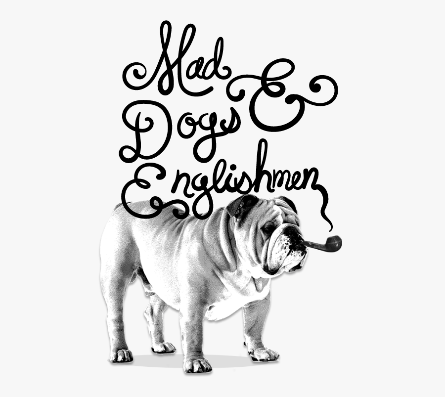 Bulldog, Transparent Clipart