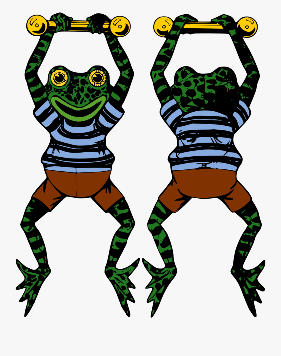 Public Domain Clip Art Image Acrobat Frog Id - Frog, Transparent Clipart