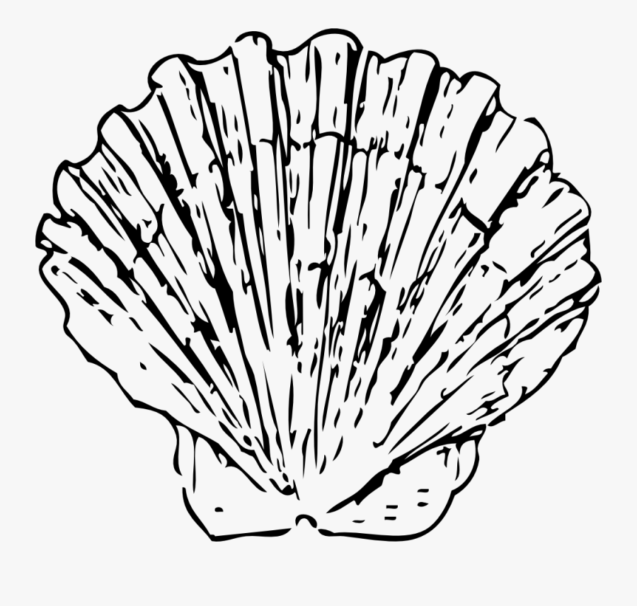 Scallops Clip Art, Transparent Clipart