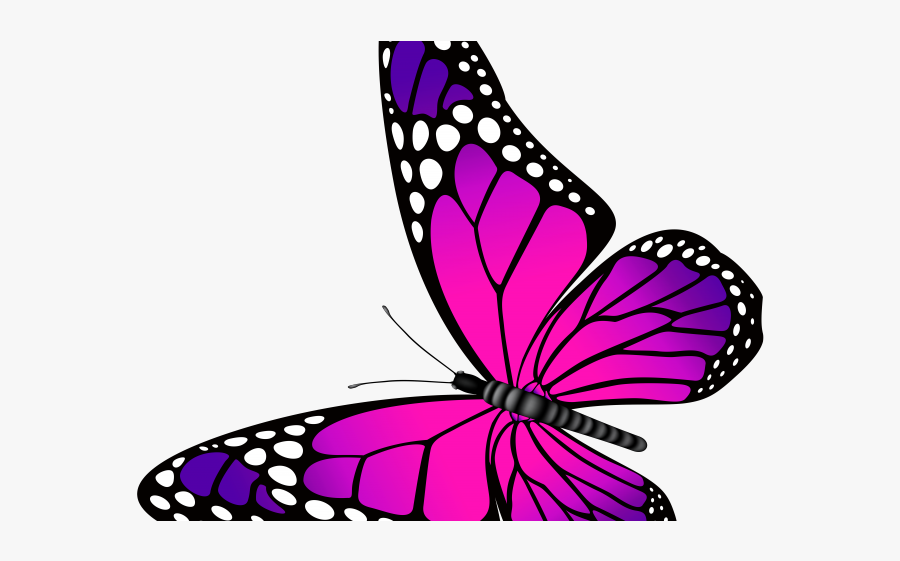 Purple And Pink Butterfly, Transparent Clipart