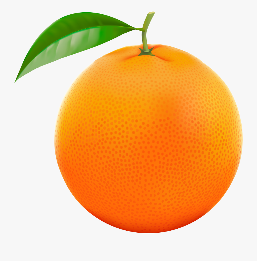 Orange Clipart Fruits - Transparent Orange Clip Art, Transparent Clipart