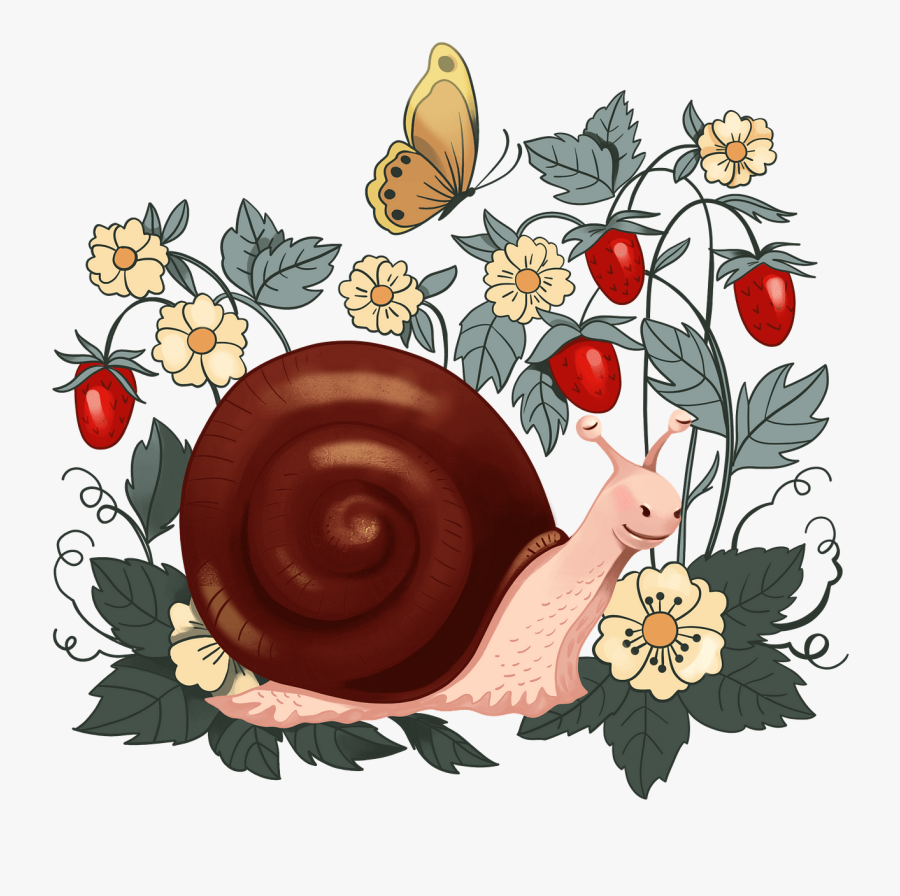 Snail, Transparent Clipart