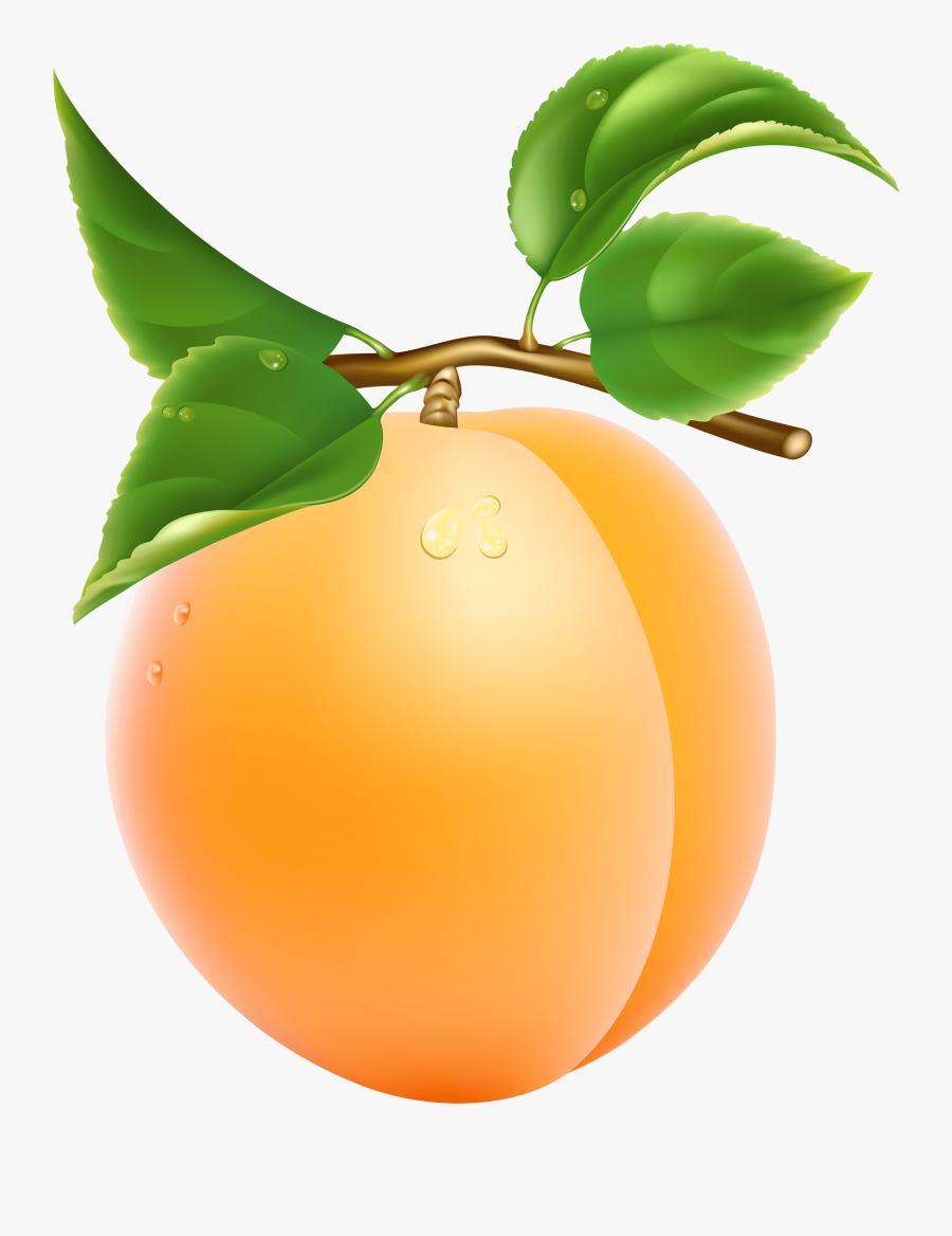 Apricot Clipart, Transparent Clipart