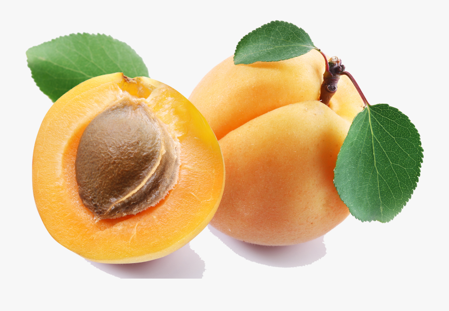 Apricot Clipart - Transparent Apricot Png, Transparent Clipart