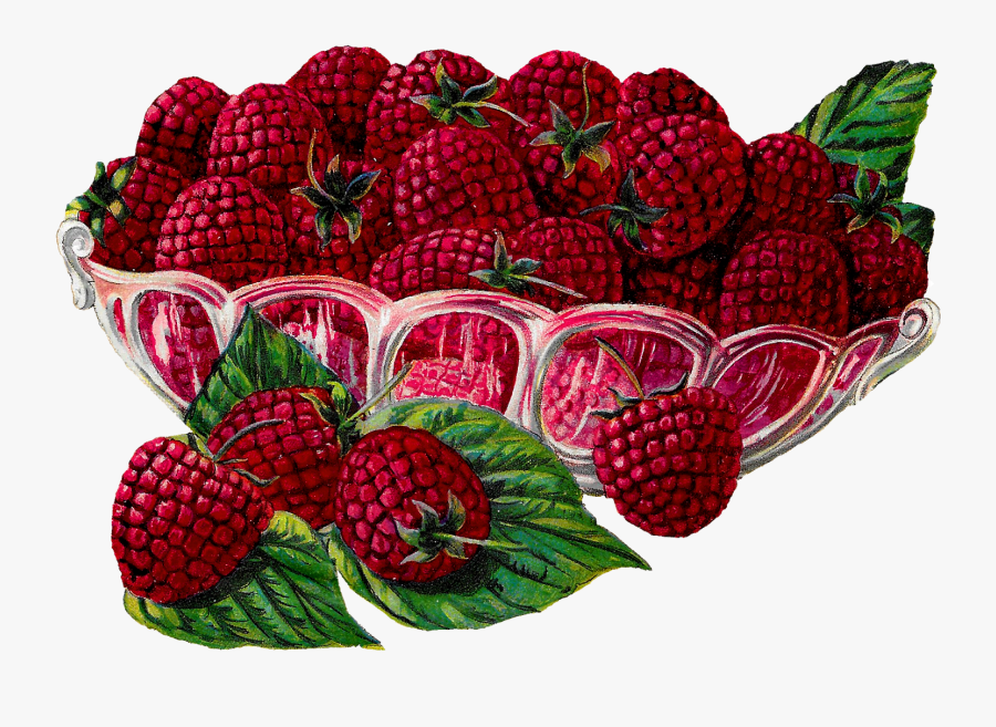Transparent Bowl Of Fruit Clipart - Clipart Vintage Transparent Fruits, Transparent Clipart