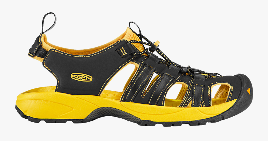 Portable Network Graphics, Transparent Clipart