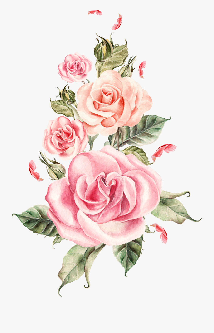 Pink Flower Bouquet Rose Roses Wedding Hand-painted - Pink Rose Transparent Background, Transparent Clipart