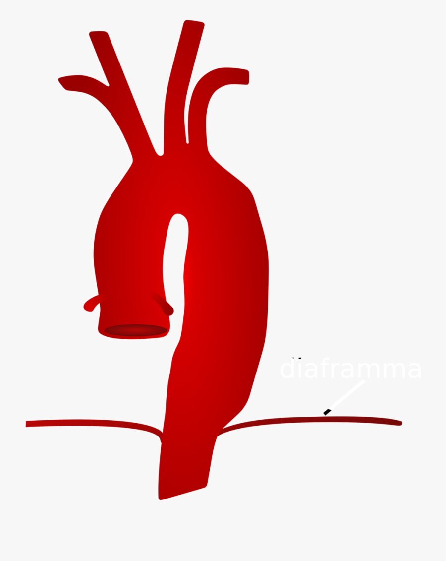 Discomfort Clip Arts For - Aorta Clipart, Transparent Clipart