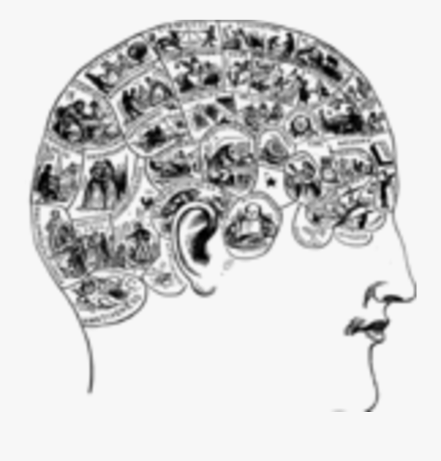 Adhd And Asperger's Centre, Transparent Clipart