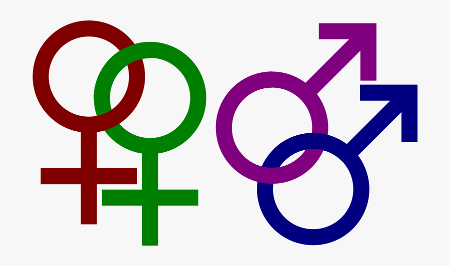 Gay And Lesbian, Transparent Clipart