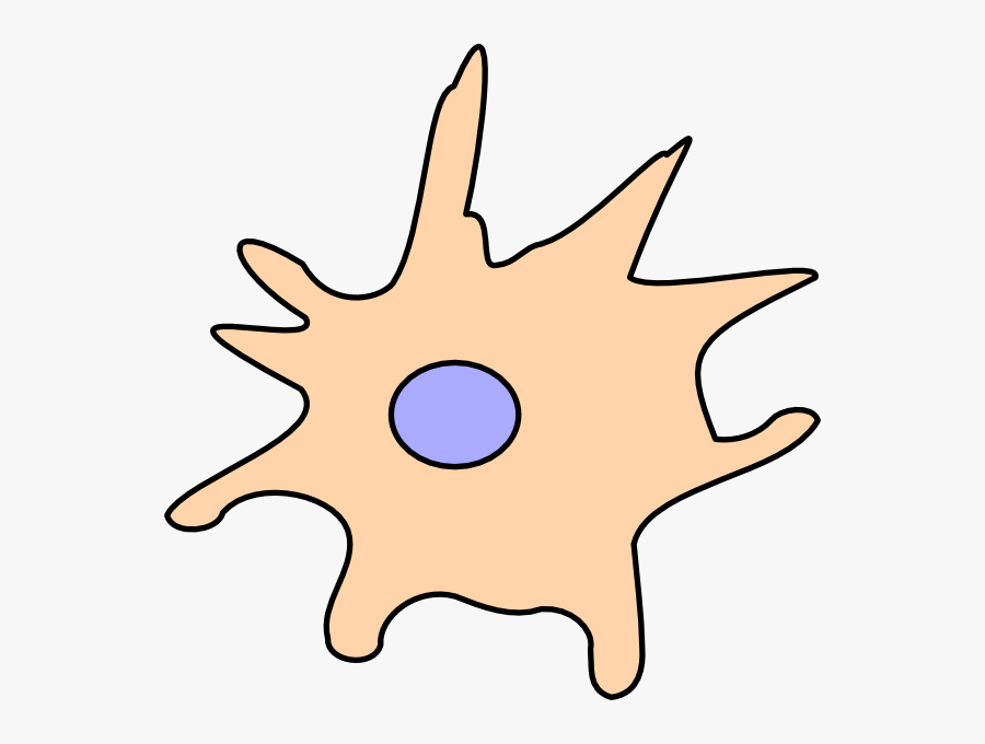 Dendritic Cell Clipart, Transparent Clipart