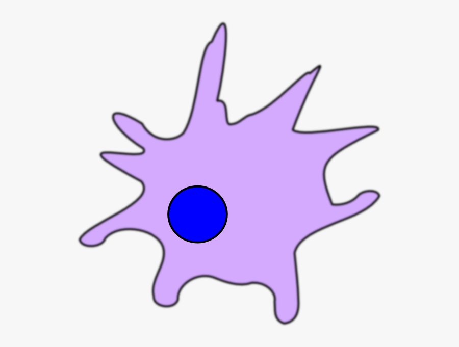 Dendritic Cell Clipart, Transparent Clipart