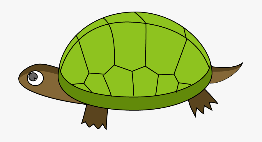 Tortoise Clipart, Transparent Clipart