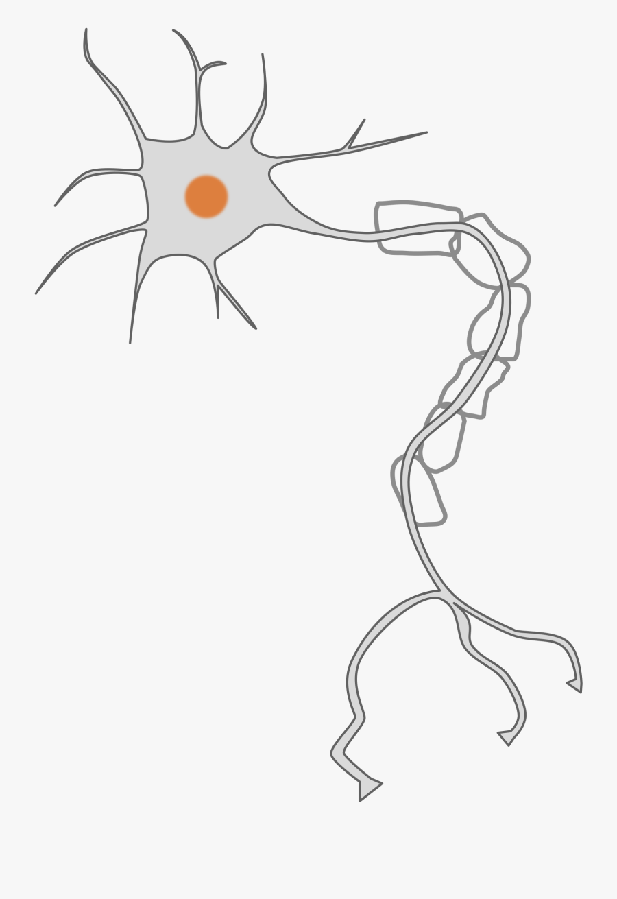 Clipart - Simple Neuron, Transparent Clipart