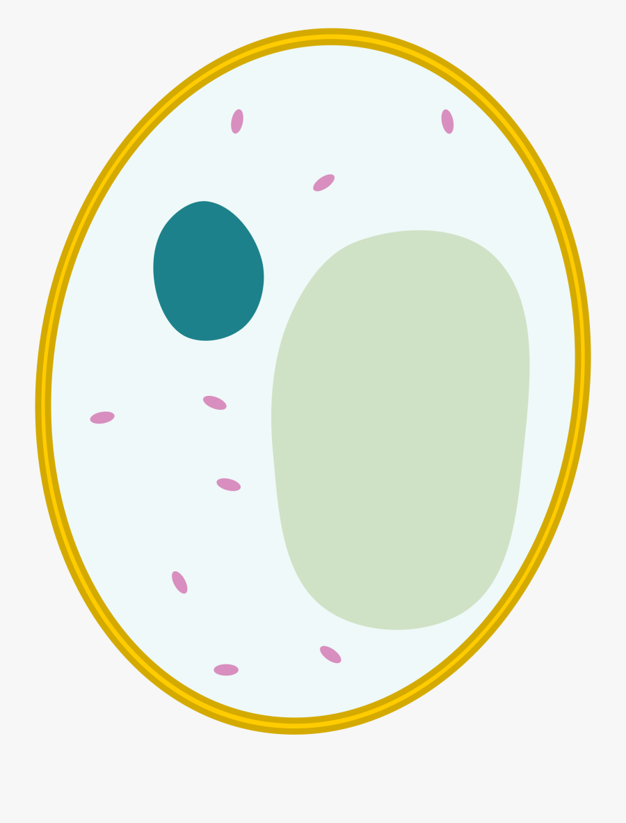 File Simple Diagram Of - Circle, Transparent Clipart