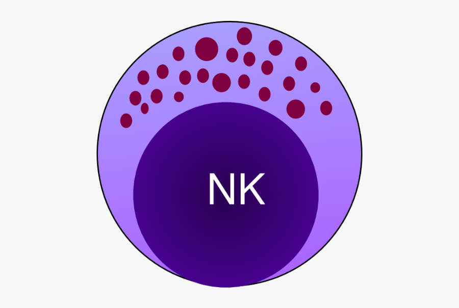 Natural Killer Cells Clipart, Transparent Clipart