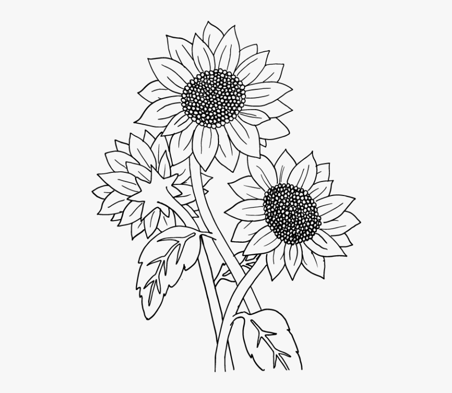 Transparent Sunflower Clipart Black And White - Small Sunflower Transparent Black And White, Transparent Clipart