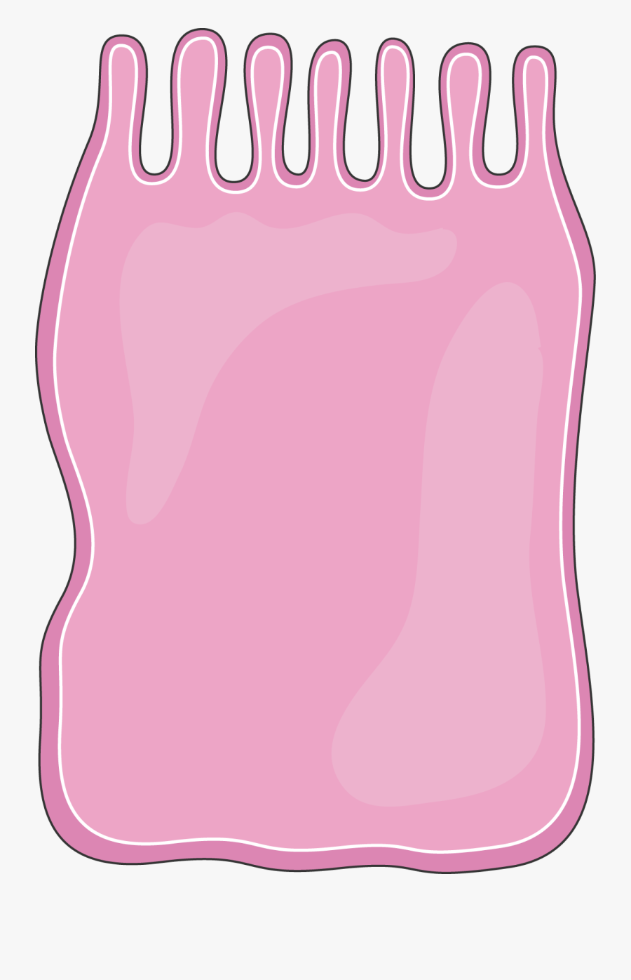 Clip Art Transparent Smart Images Archive Page - Epithelial Cell Clip Art, Transparent Clipart