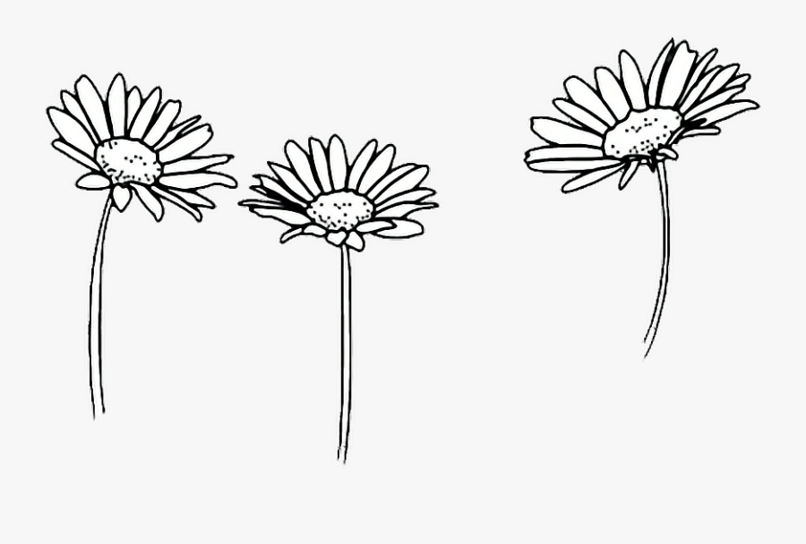 Daisy Clipart Sunflower Sketch - Transparent Overlay Black And White, Transparent Clipart
