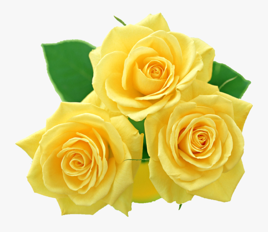 Yellow Roses Bouquet Png - Yellow Flower Bouquet Png, Transparent Clipart