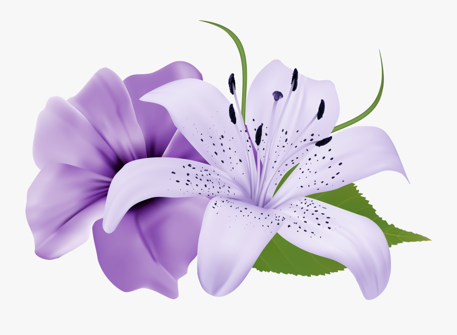 Transparent Flower Bouquet Clipart - Purple Lily Transparent Background, Transparent Clipart