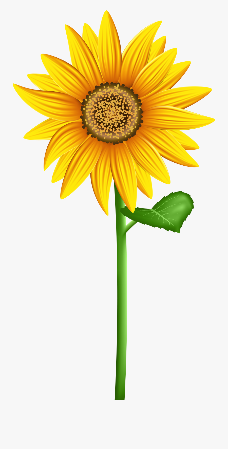 Sunflower Clipart Stem - Transparent Background Sunflower Clipart, Transparent Clipart
