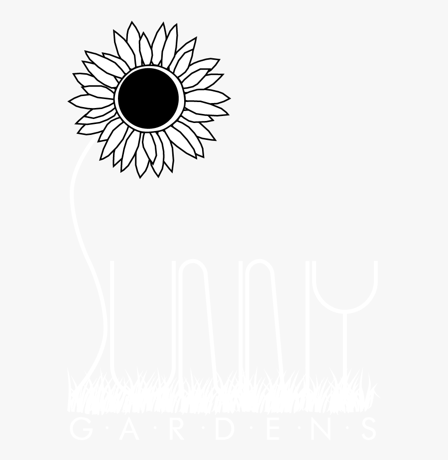 Transparent Flower Bed Png - Sunflower, Transparent Clipart