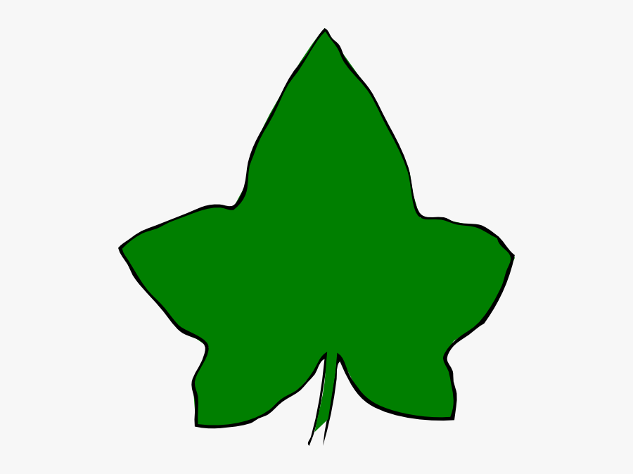 Ivy Leaf Big Green 3 Clip Art At Clker - Aka Ivy Leaf Clipart, Transparent Clipart