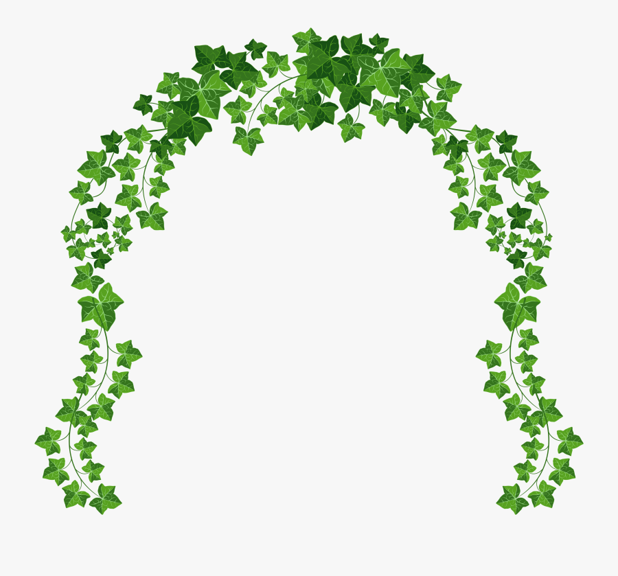 Ivy Clipart Decorative - Transparent Background Vine Png, Transparent Clipart