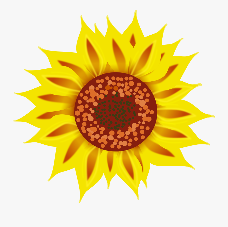 Sunflower Vector Black And White Library - Sunflower, Transparent Clipart