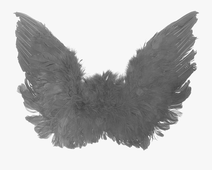 Transparent Angel Wing Png - Black Angel Wings Transparent, Transparent Clipart